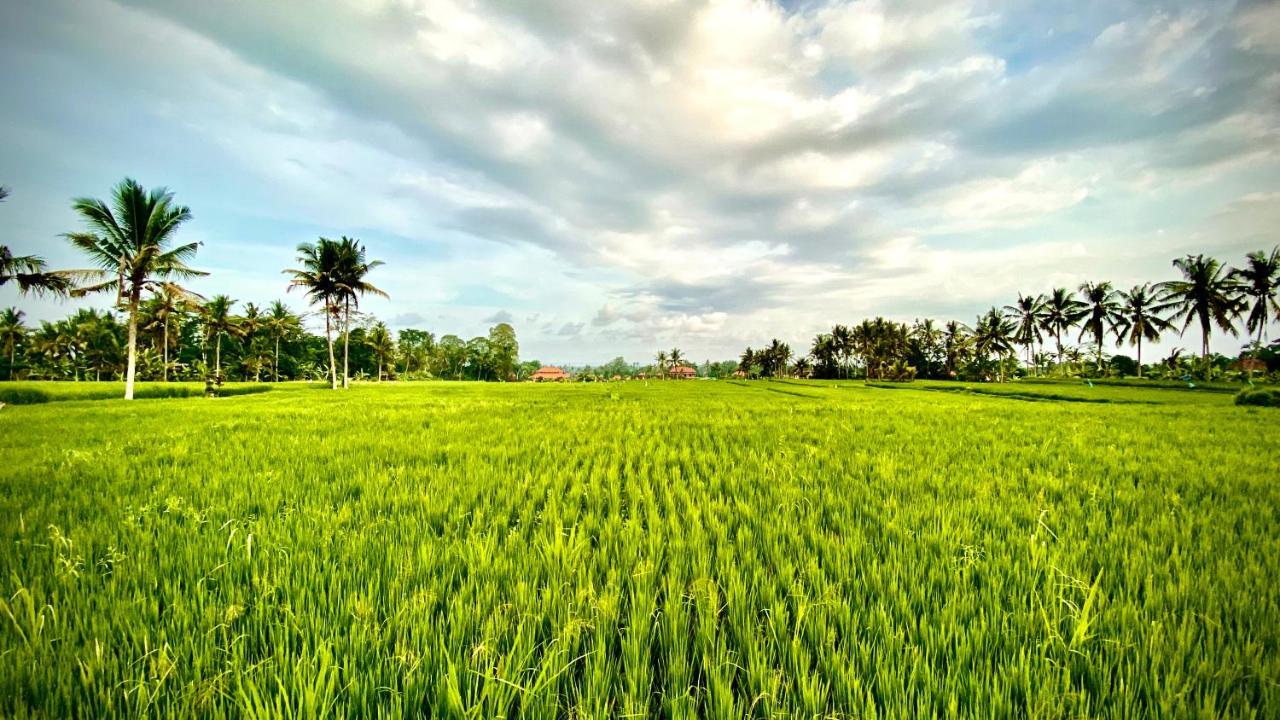 אובוד Villa Sawah Ramah מראה חיצוני תמונה